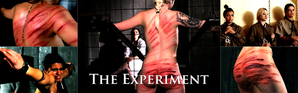 The Experiment / Експеримент